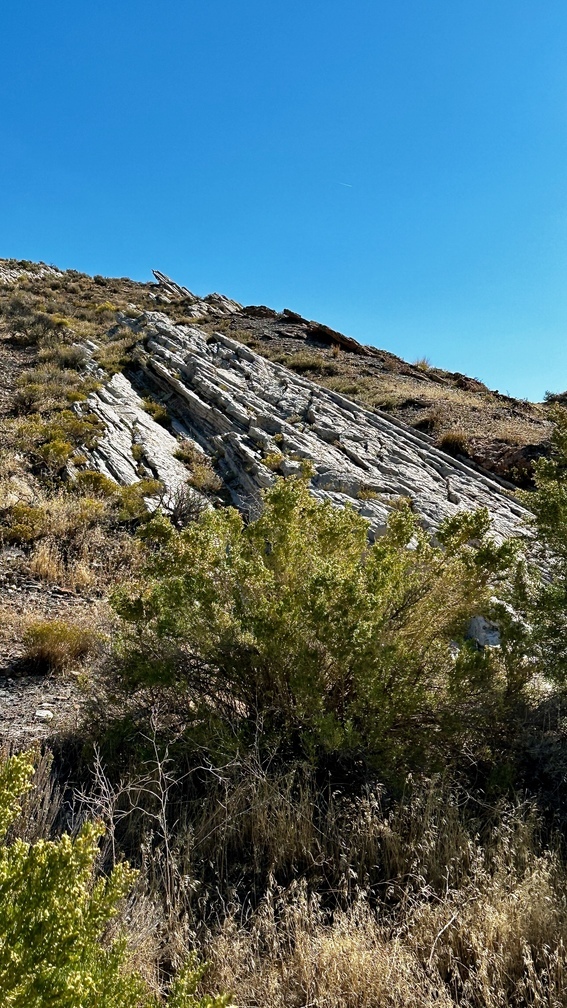 RW Trend - Looking ESE - closeup outcrop